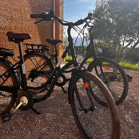 Vue Vulpaghja 01 Cargèse